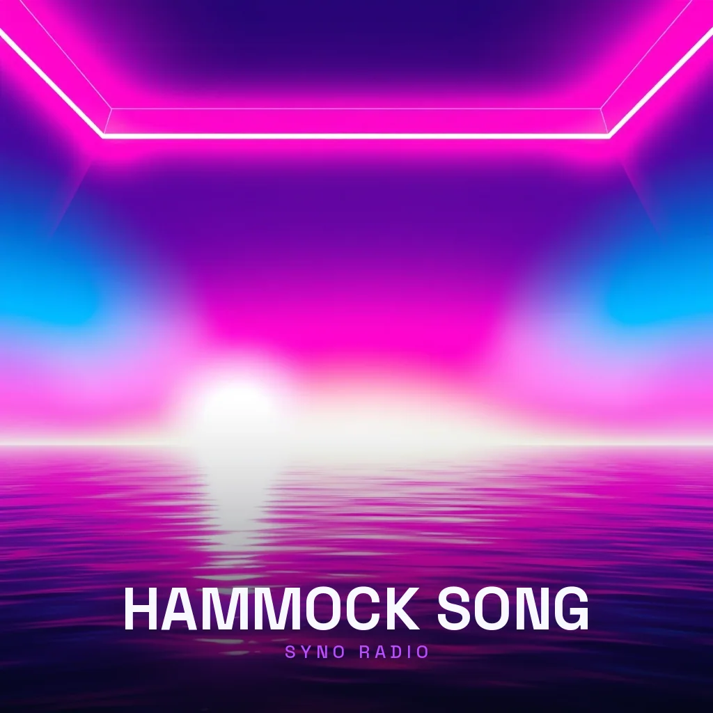 Pochette de Hammock Song