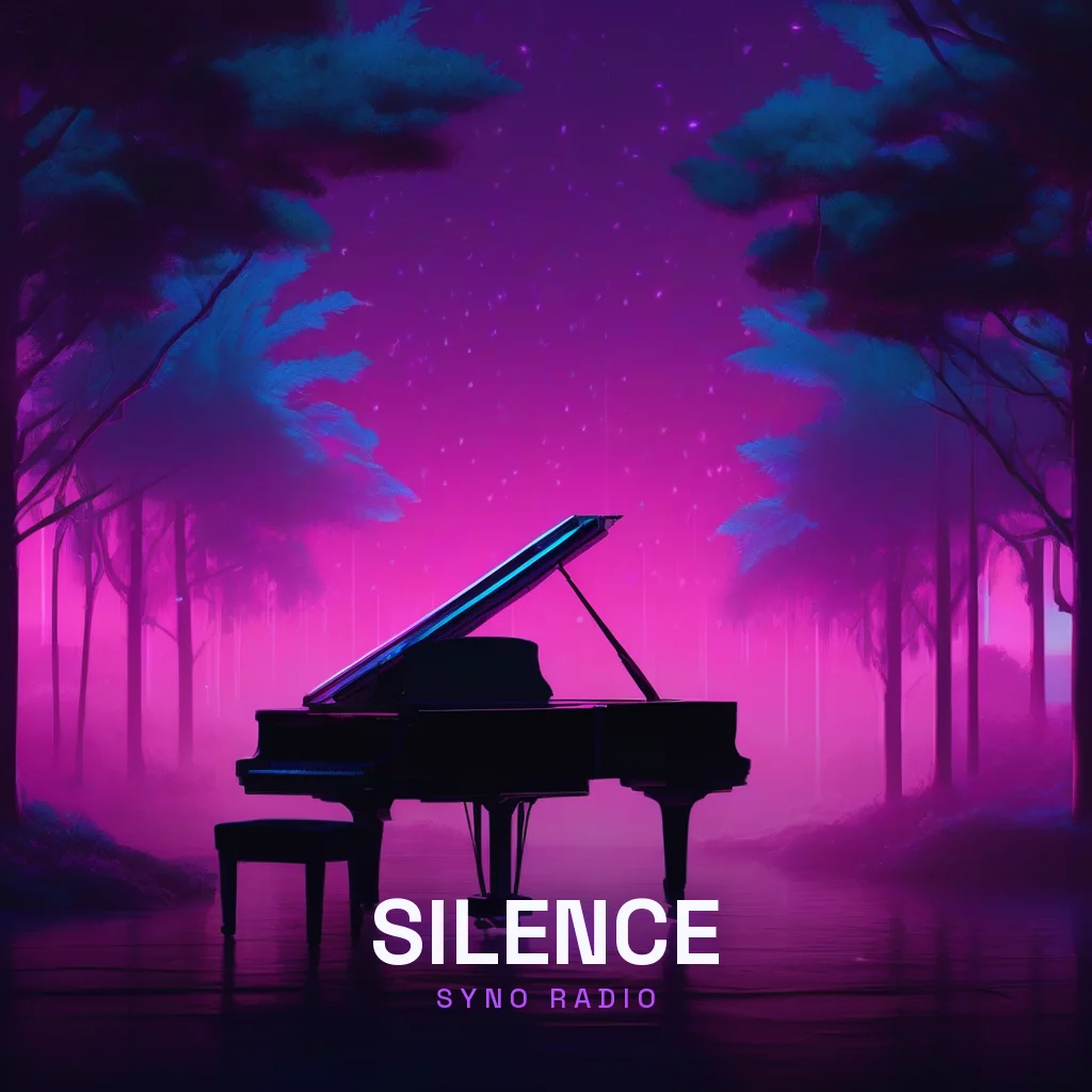 Pochette de Silence