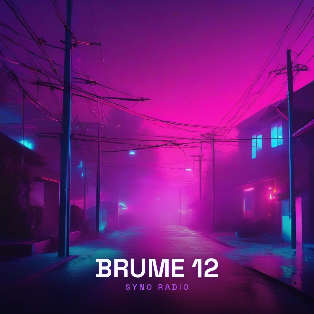 Pochette de Brume 12